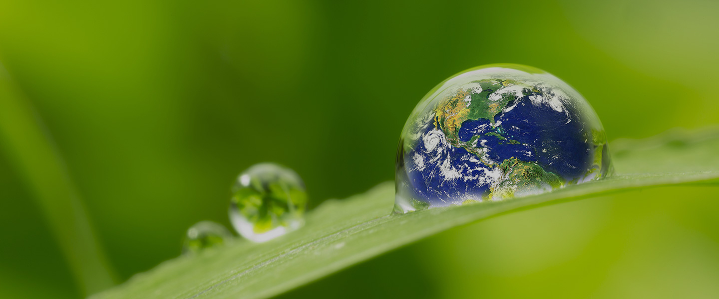 Certification ISO 14001