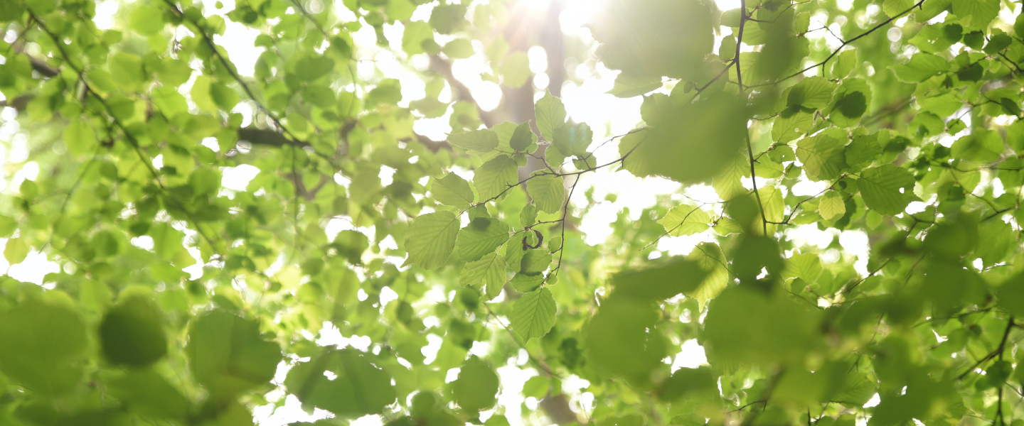 Arbres responsables et engagés