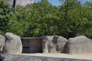 technicien au Zoo regardant girafe