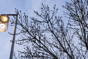 lampadaire